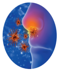 Anti-tussives / Anti-allergics