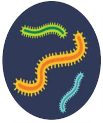 Antihelminthics