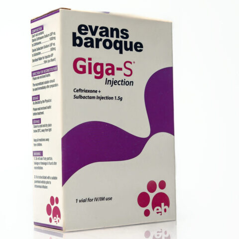 Giga-S Injection