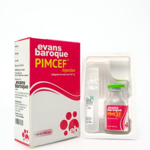 Pimcef Injection Cefepime 1g