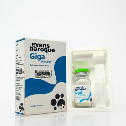 Giga Injection